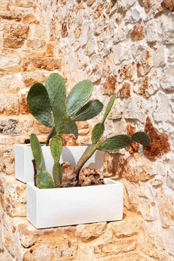 Casa Tonini Βίλα Ostuni Εξωτερικό φωτογραφία